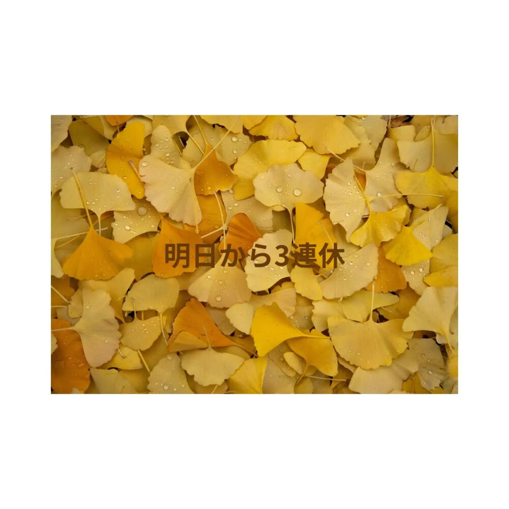 ブログ