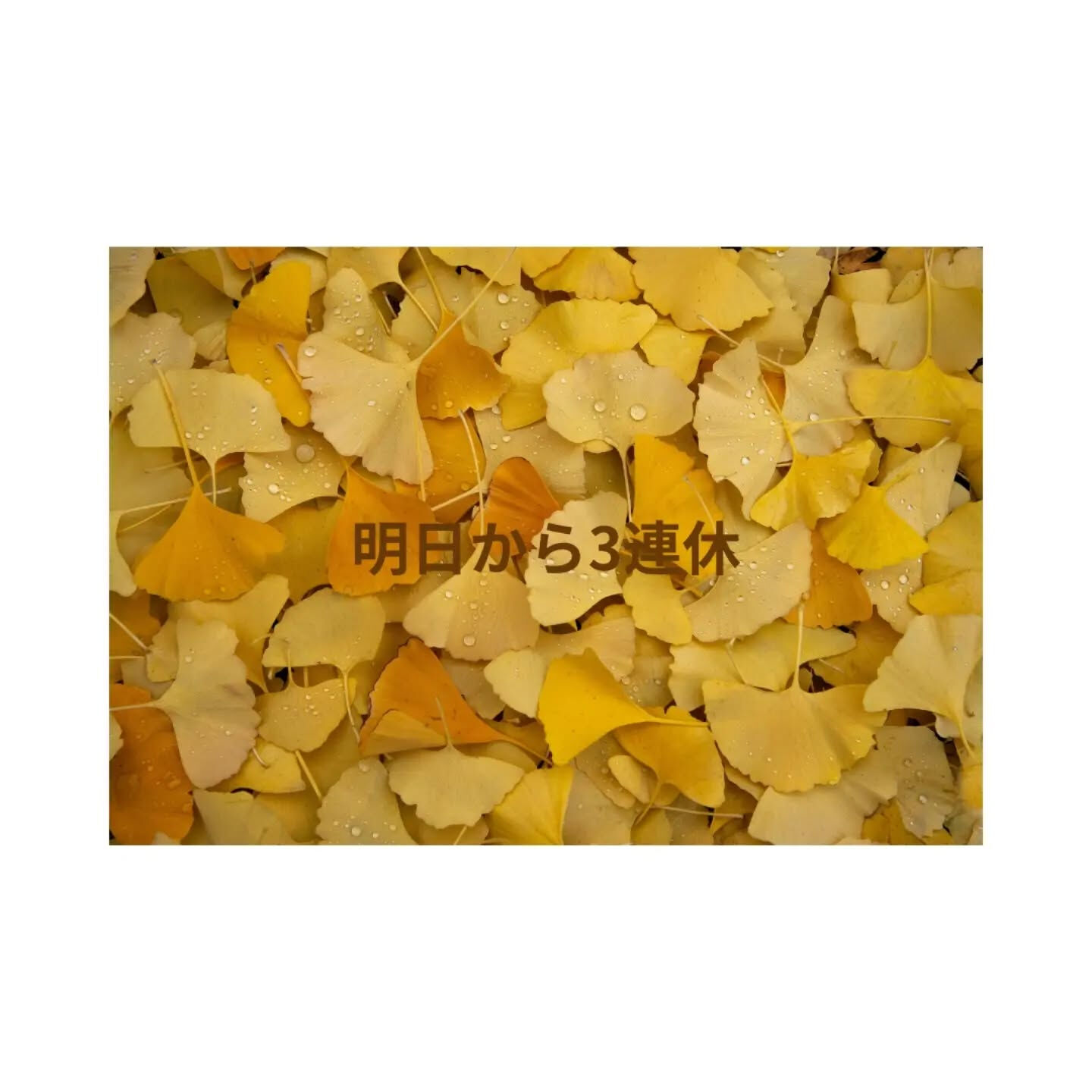 ブログ