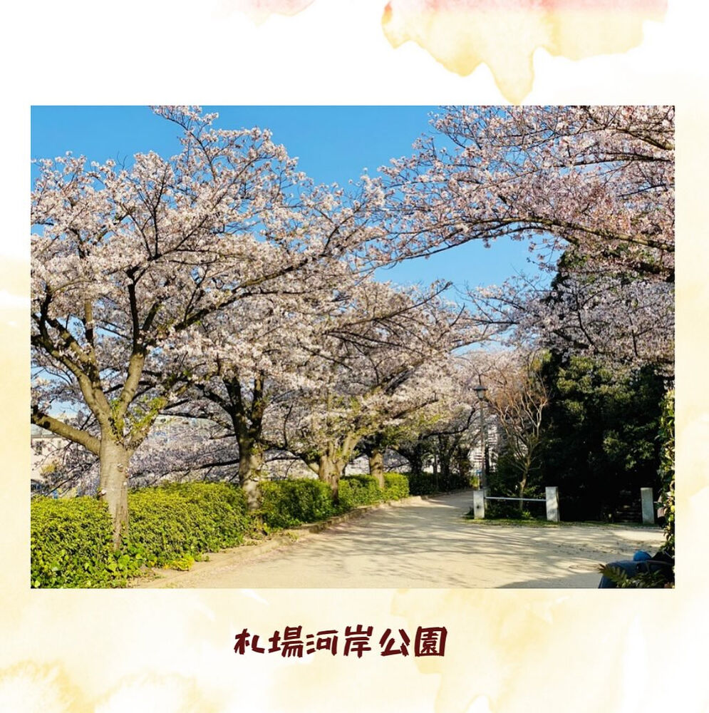 ブログ